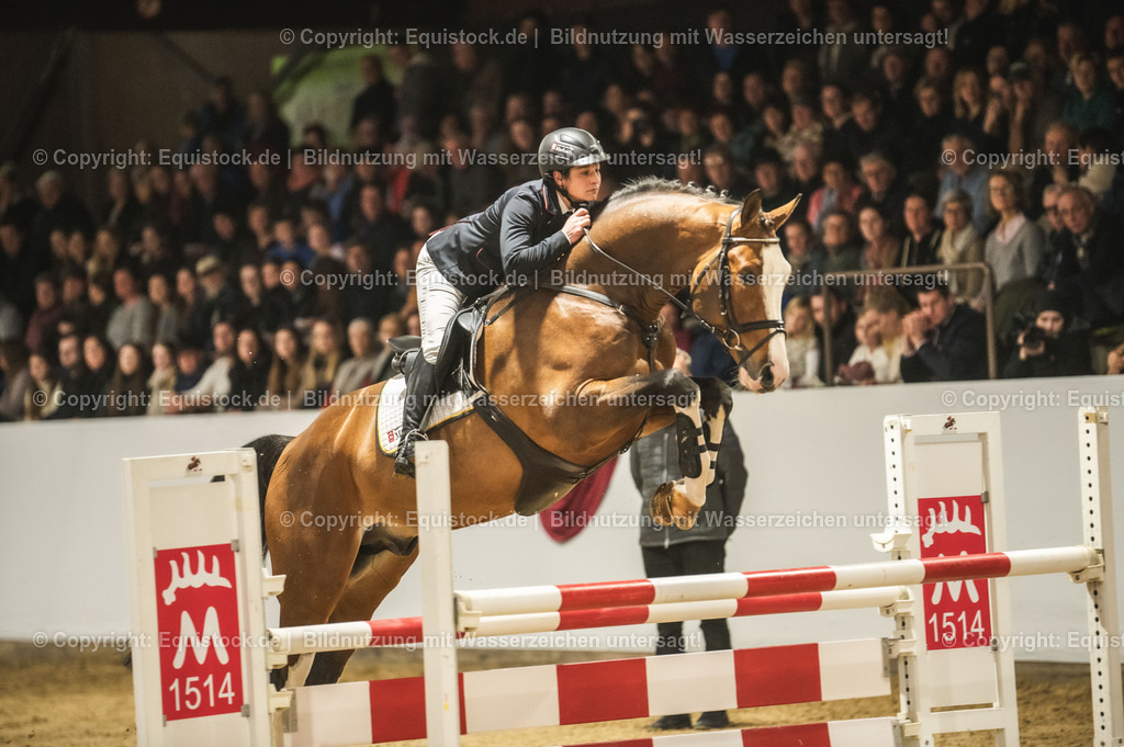 20240302_Hengstvorstellung_Marbach_TOMsPiC_0495 | equistock