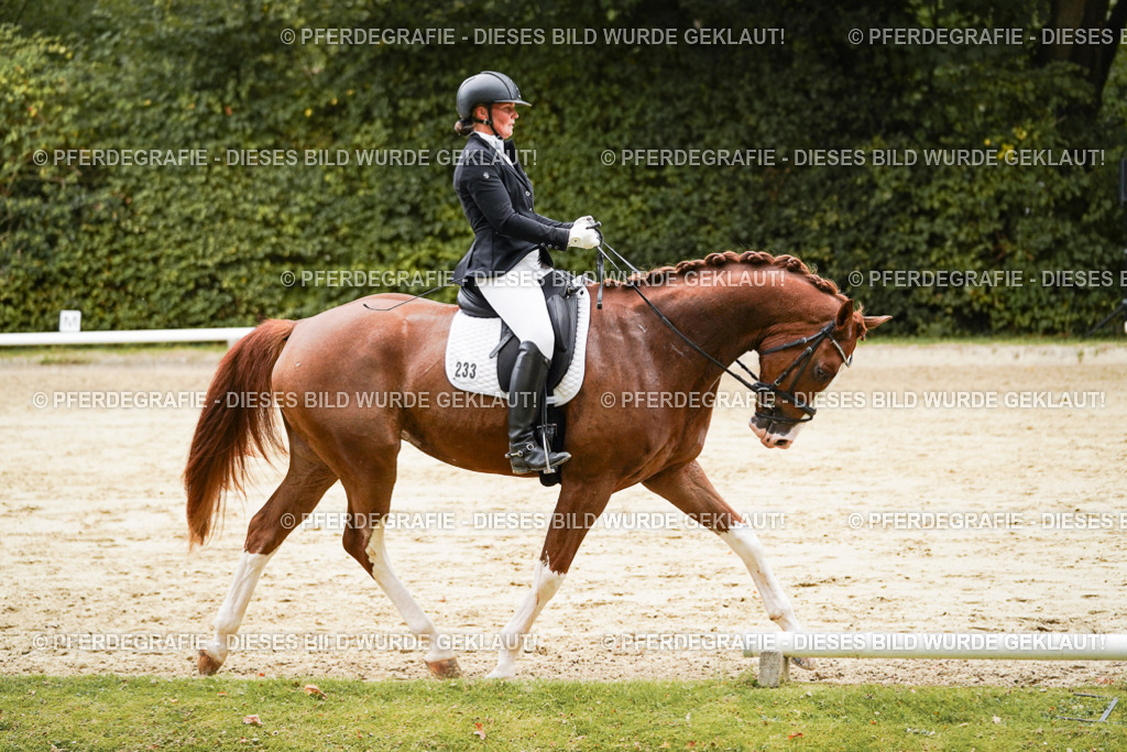 DSC00452 | Pferdegrafie