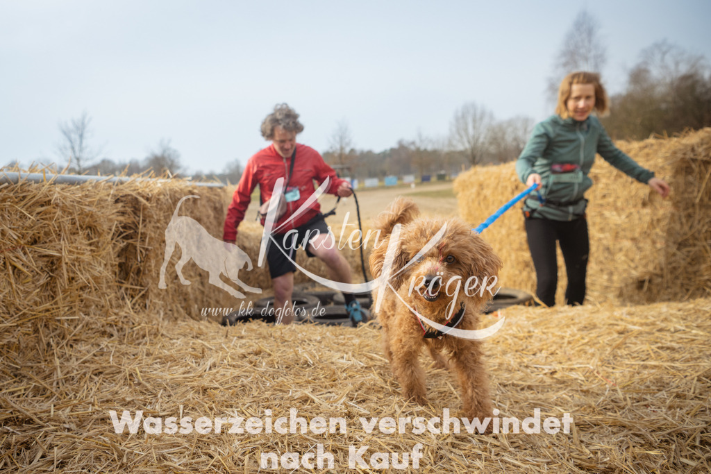 1018_ZZ93871 | kk-dogfotos