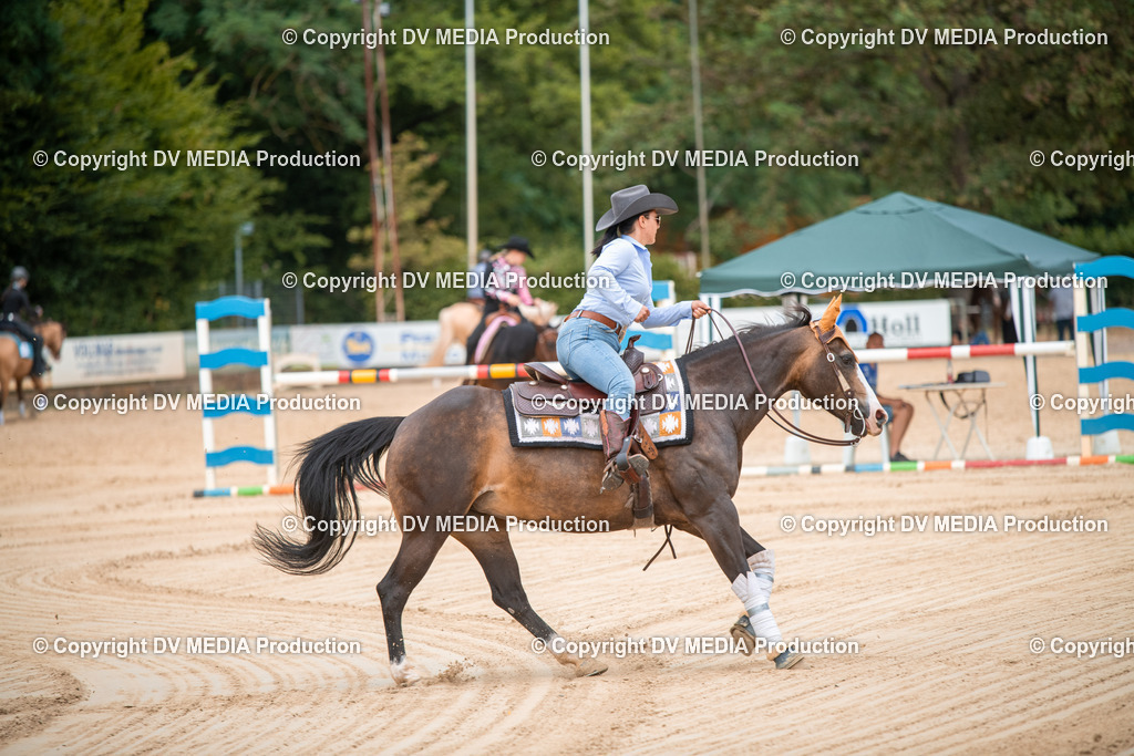 ZS2_8694 | dv-media-shop - Realisiert mit Pictrs.com