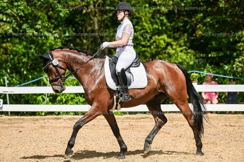 20230715_02_Dressurreiterprüfung Kl.L_0206 | equistock