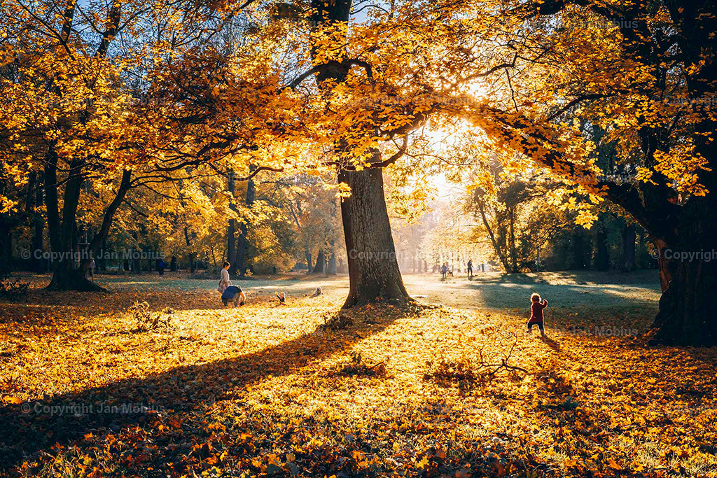 Clara Park | Der Clara-Zetkin-Park in Leipzig ist ein beliebter Ort für Natur, Sport und Erholung – perfekt für Spaziergänge, Jogging und entspannte Stunden im Grünen. - Realisiert mit Pictrs.com
