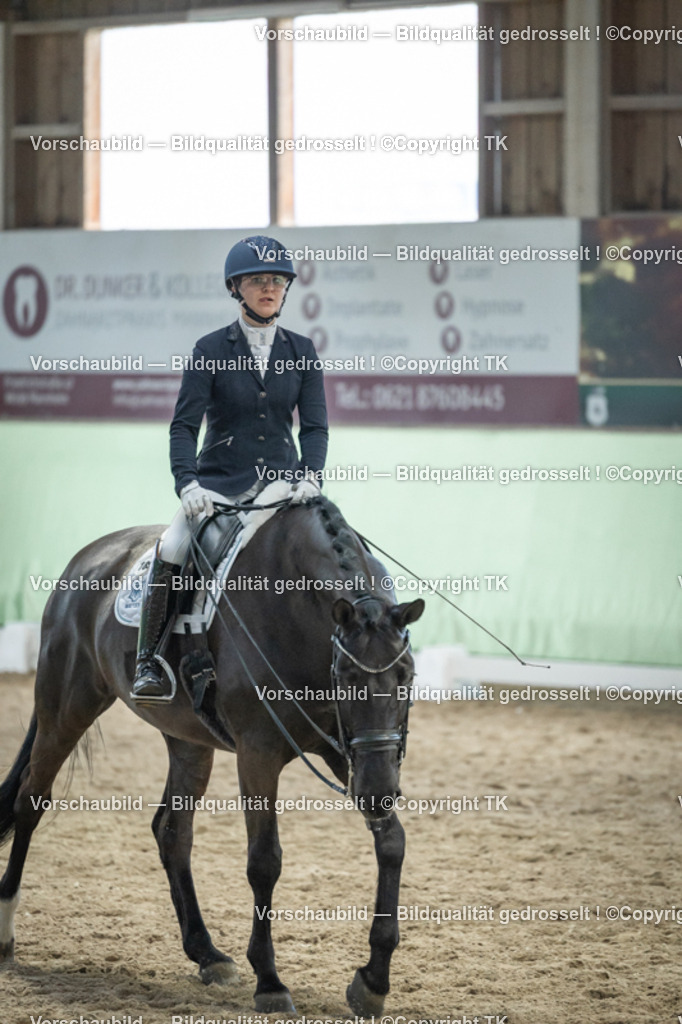 _D5A3547 | Emotionale Pferde- & People-Fotografie rund um Heidelberg, Leimen & Umgebung. Natürliche Fotos von Pferd, Mensch & Familie. Jetzt Termin sichern!