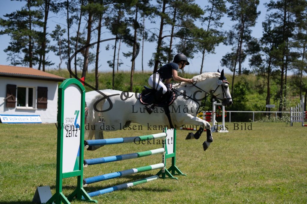 A7V05813 | Pferdefotograf