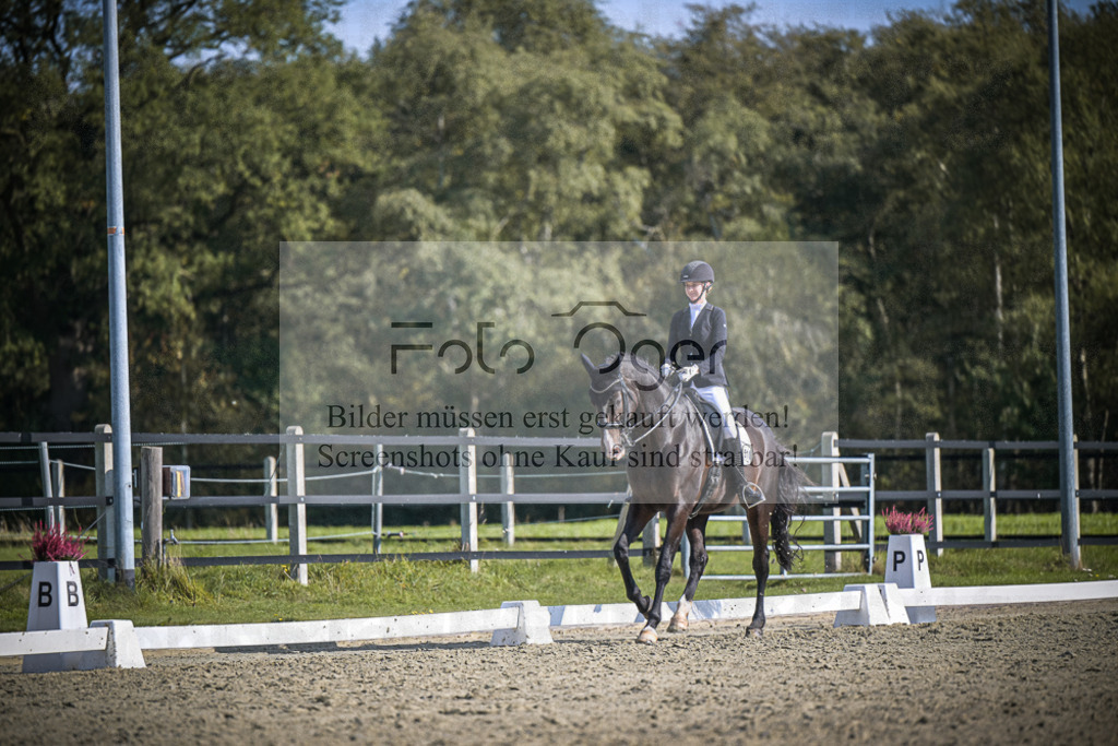DOS_1914 | Entdecke hochwertige Reitturnierfotos von Foto Oger. Professionell, emotional und authentisch – jetzt Lieblingsmomente im Shop bestellen.Deutschlandweite Turnierfotografie. - Realisiert mit Pictrs.com