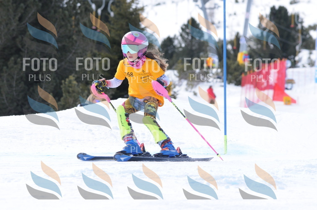 C7367 | holidayphoto