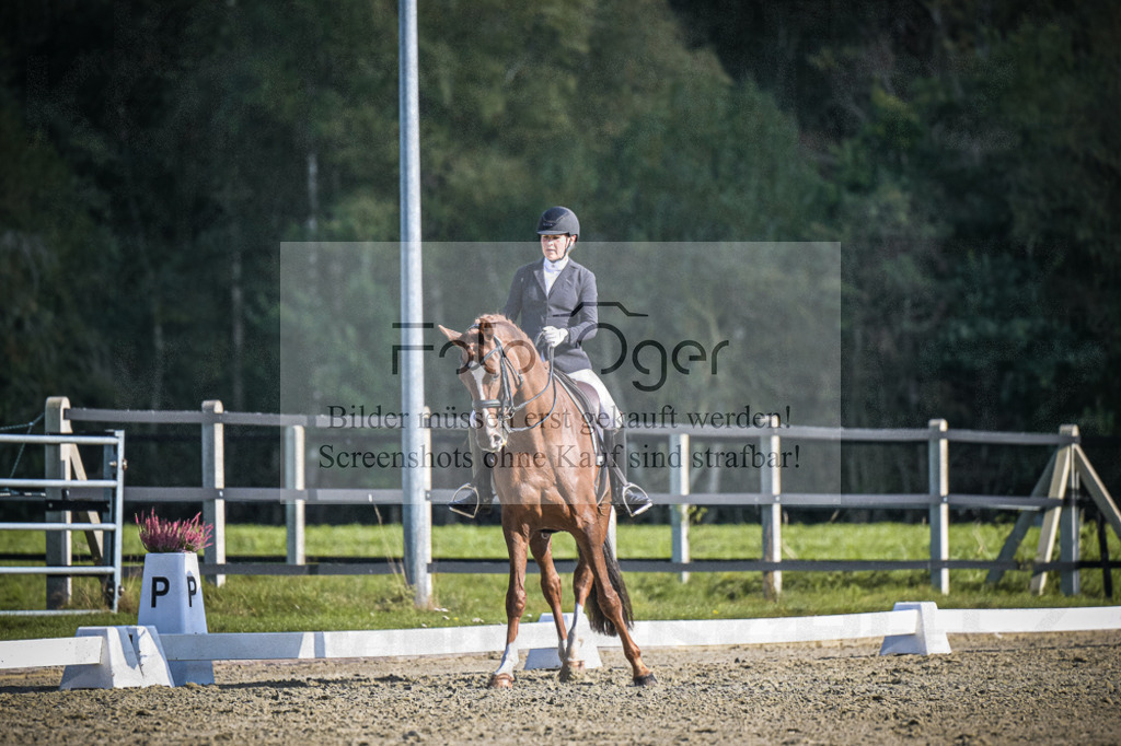 DOS_3718 | Entdecke hochwertige Reitturnierfotos von Foto Oger. Professionell, emotional und authentisch – jetzt Lieblingsmomente im Shop bestellen.Deutschlandweite Turnierfotografie. - Realisiert mit Pictrs.com