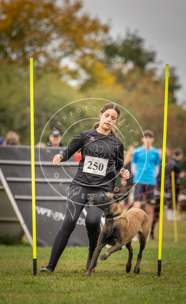 Pfotenfotografie_DV3A6325 | Hundefotografie, Tierfotograf, Pfotenfotografie, Fotoshooting Hund, Hunde Portrait, Hundesport, Hundeportraits, Heideshooting, Hunde, Sportfotograf, Hundefotograf, Turnierhundsport, THS,  - Realisiert mit Pictrs.com