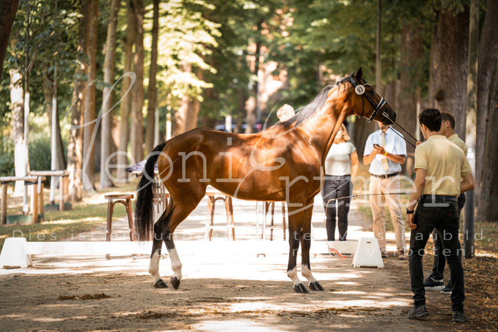FrPfM00241 | Leoni Ertmer Photography - Realisiert mit Pictrs.com