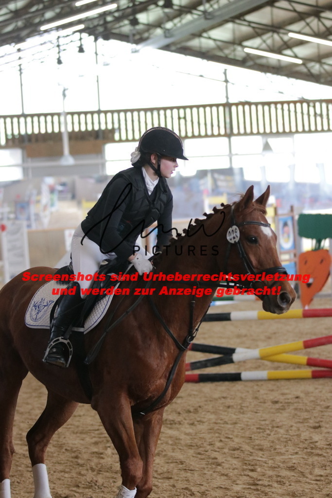 IMG_2592 | lmwpictures - Realisiert mit Pictrs.com