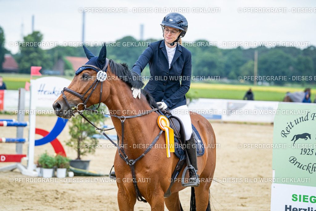 DSC03859 | Pferdegrafie