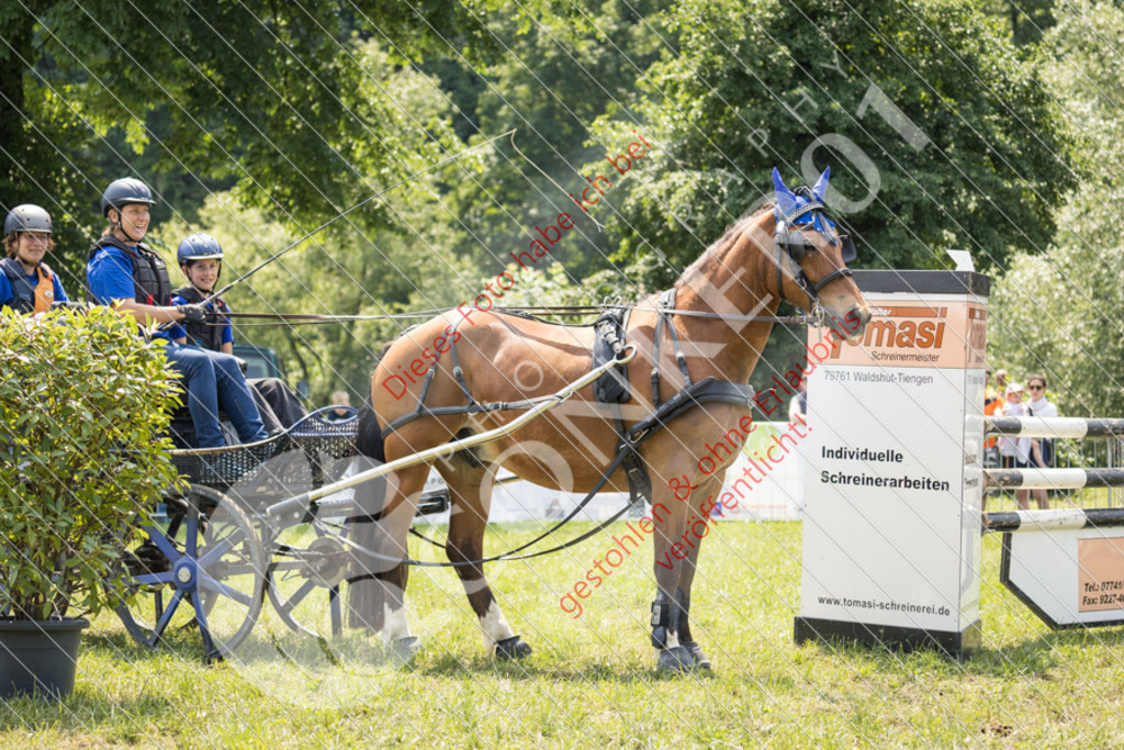 IMG_7980 | Sport-, Event- und Tierfotos in Profiqualität. Einfach auswählen, bestellen und herunterladen. Dein Moment – perfekt festgehalten.