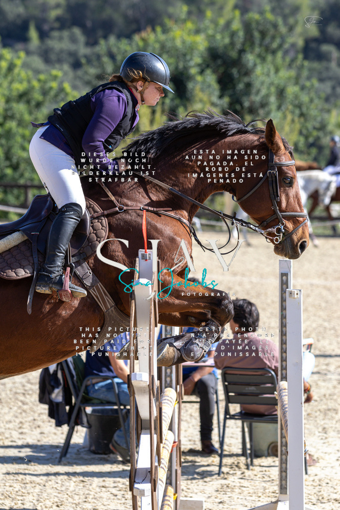 IMG_6450 | s-jay-photography - Realisiert mit Pictrs.com