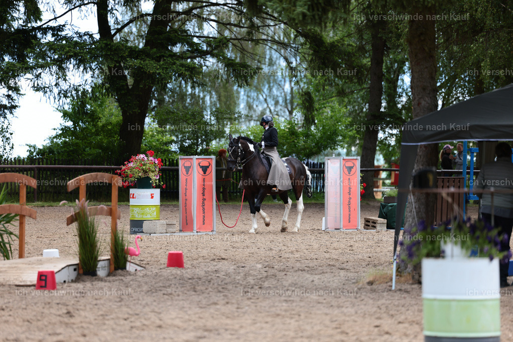 KlasseL_Stoibphotography_CAM23643.JPG | working equitationturnier fotograf videograf stoibphotography marixx film working equitation deutschland reitsport turnierfotografie eventfotografie equestrian events