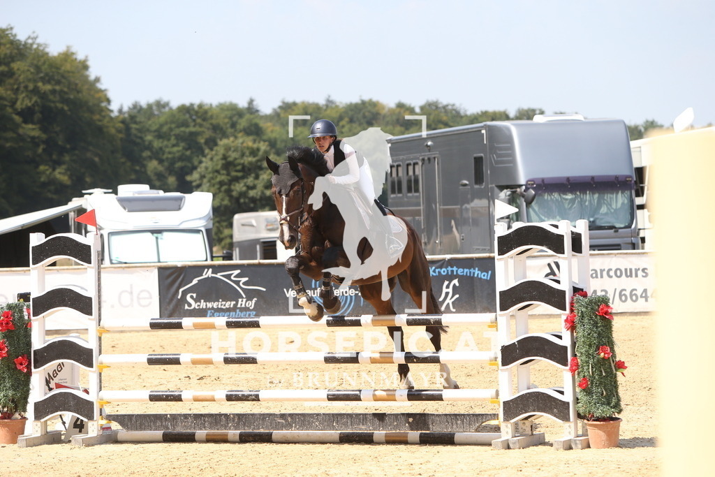 DL2Q1117 | Willkommen bei Brunnmayr - Design & Fotografie – Ihrem Spezialisten für Reitturniere und Pferdeveranstaltungen in Oberösterreich, Salzburg und Bayern! Seit über 17 Jahren sind wir leidenschaftlich dabei.