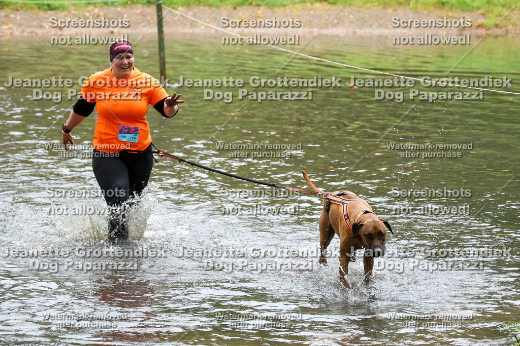 Dog Paparazzi -  SD1026-8246 | Dog Paparazzi Jeanette Grottendiek Fotografie & Videografie - Realisiert mit Pictrs.com