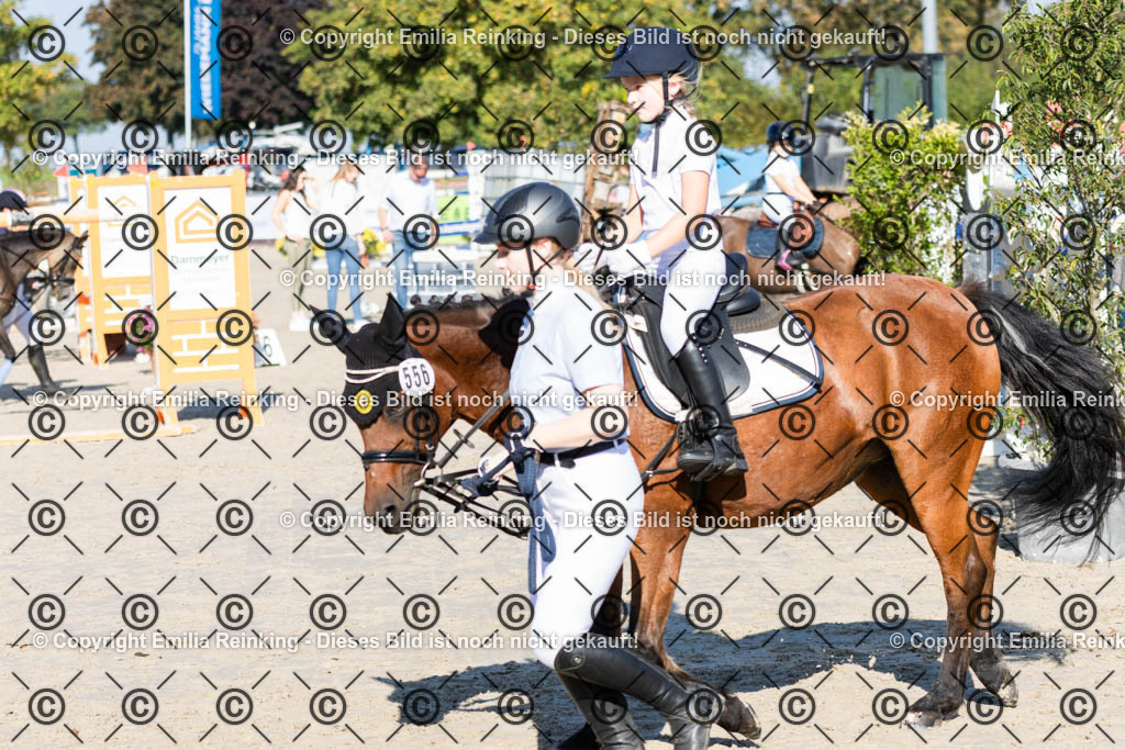 CL5A0261 | Emilia Reinking Fotografie - Realisiert mit Pictrs.com