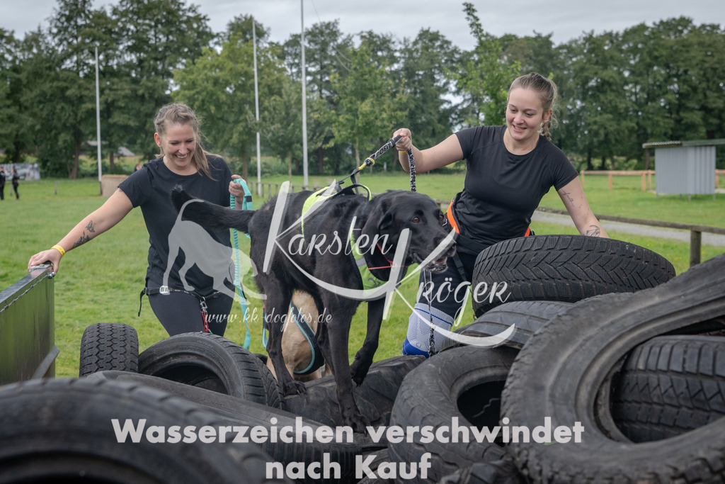 1256_ZZ92758 | kk-dogfotos