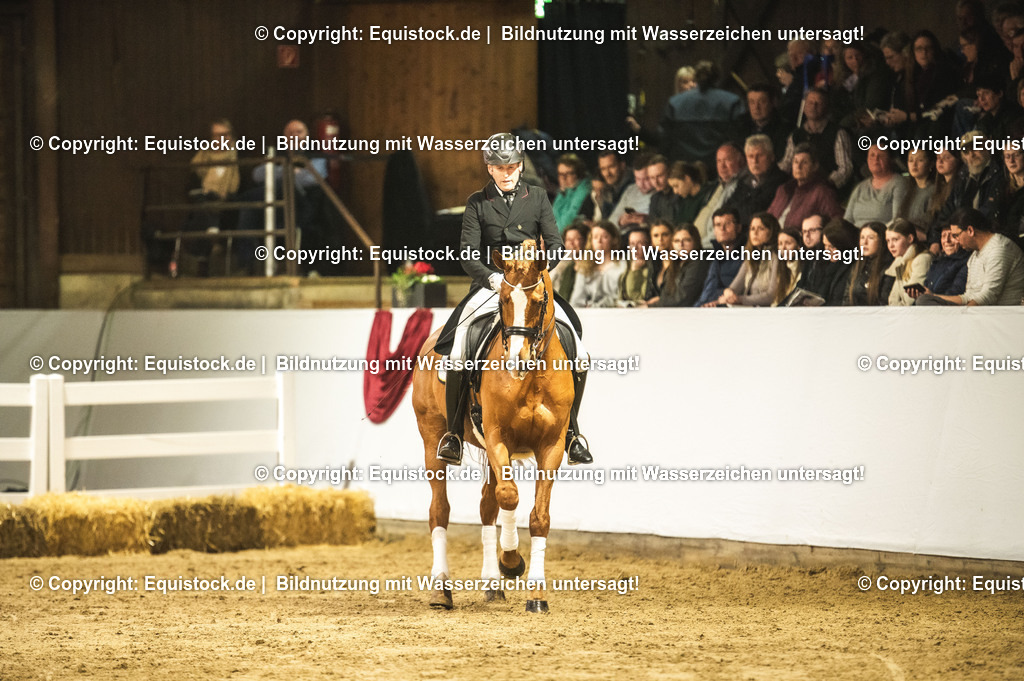 20240302_Hengstvorstellung_Marbach_TOMsPiC_0886 | equistock