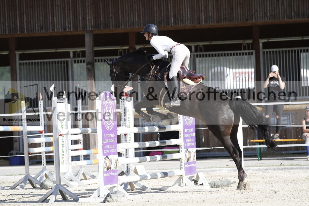 _MG_5371 | equestrian-live-com