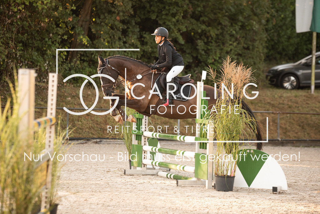 DSC_6219 | Turnierfotografin Carolin Gieschke, Turnierfotografie Carolin G Fotografie, Turnierfotos Kirchheim/Teck, Esslingen, Stuttgart, Bodenseekreis