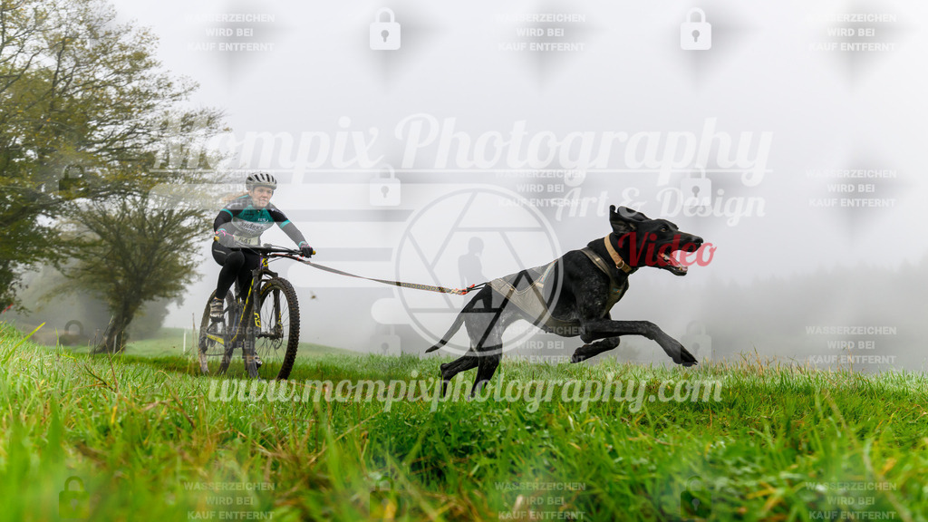 MompixPhotography_20TSB_E5_Bike-73 | PayLife