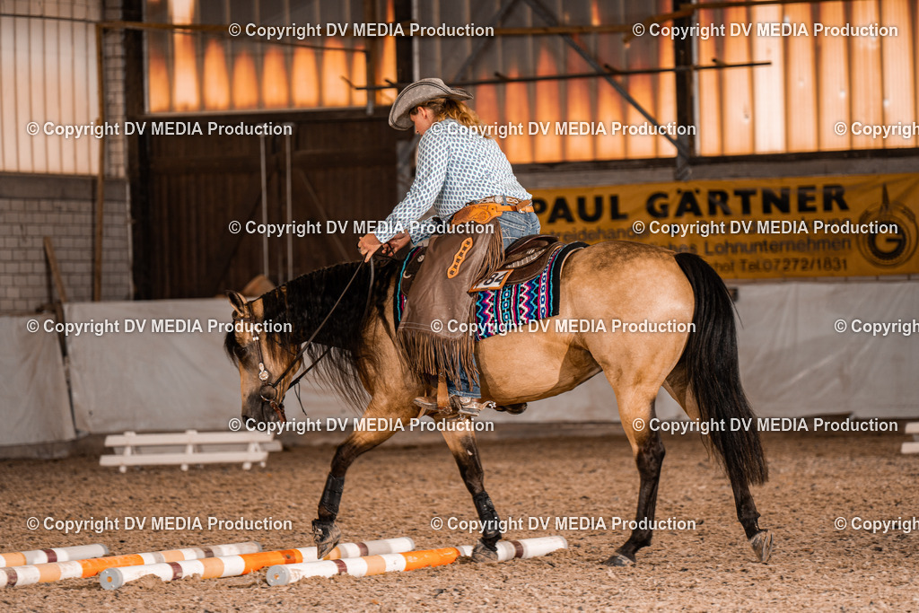 ZH300276 | dv-media-shop - Realisiert mit Pictrs.com