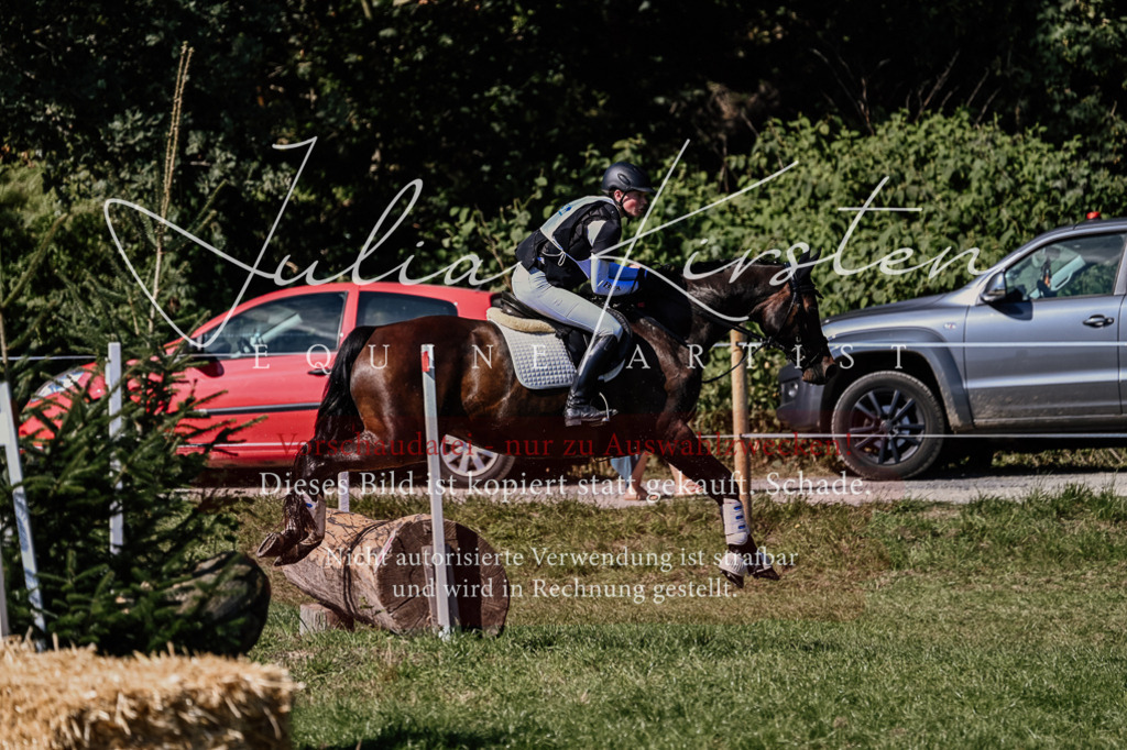 DSC_1459 | Pferde- und Turnierfotografie in Westsachsen. Pferdeportraits, Auftragszeichnungen und intuitive Kunst.