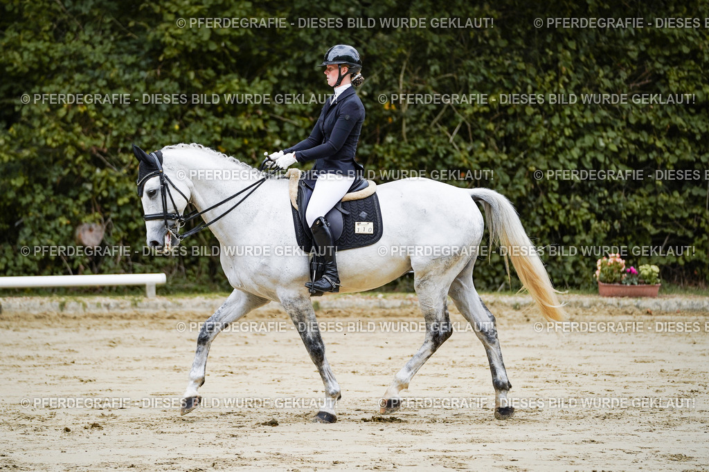 DSC08464 | Pferdegrafie