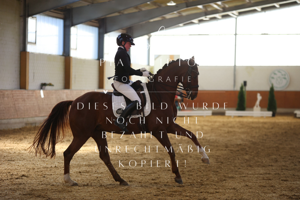 IMGT9967 | pl-fotografie