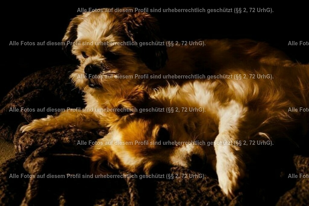 b1989d2876958970f6e9d62f4f55fbdc_2 | krollfotografie - Realisiert mit Pictrs.com