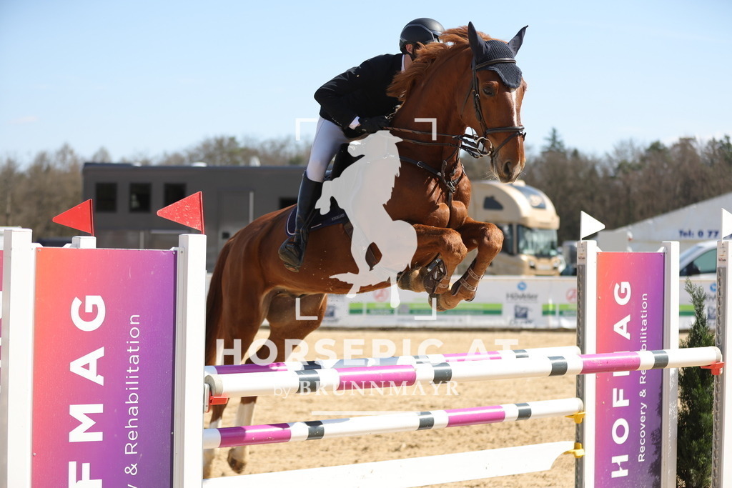 0P6A1204 | Willkommen bei Brunnmayr - Design & Fotografie – Ihrem Spezialisten für Reitturniere und Pferdeveranstaltungen in Oberösterreich, Salzburg und Bayern! Seit über 17 Jahren sind wir leidenschaftlich dabei.
