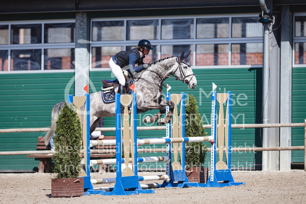 250408_Mühlen_SprPf-A2-337 | Deine schönsten Turniermomente als professionelle Fotos! Entdecke hochwertige Pferdesport-Fotografie im Online-Shop. Jetzt Fotos finden & bestellen!