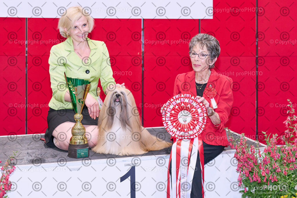 202406_ÖKV-IHA-Tulln24_NZ9_8864 | proPHOTO - Realisiert mit Pictrs.com