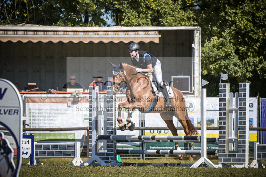 DOS_0337 | Entdecke hochwertige Reitturnierfotos von Foto Oger. Professionell, emotional und authentisch – jetzt Lieblingsmomente im Shop bestellen.Deutschlandweite Turnierfotografie. - Realisiert mit Pictrs.com