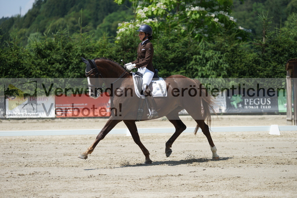 DSC05055 | equestrian-live-com