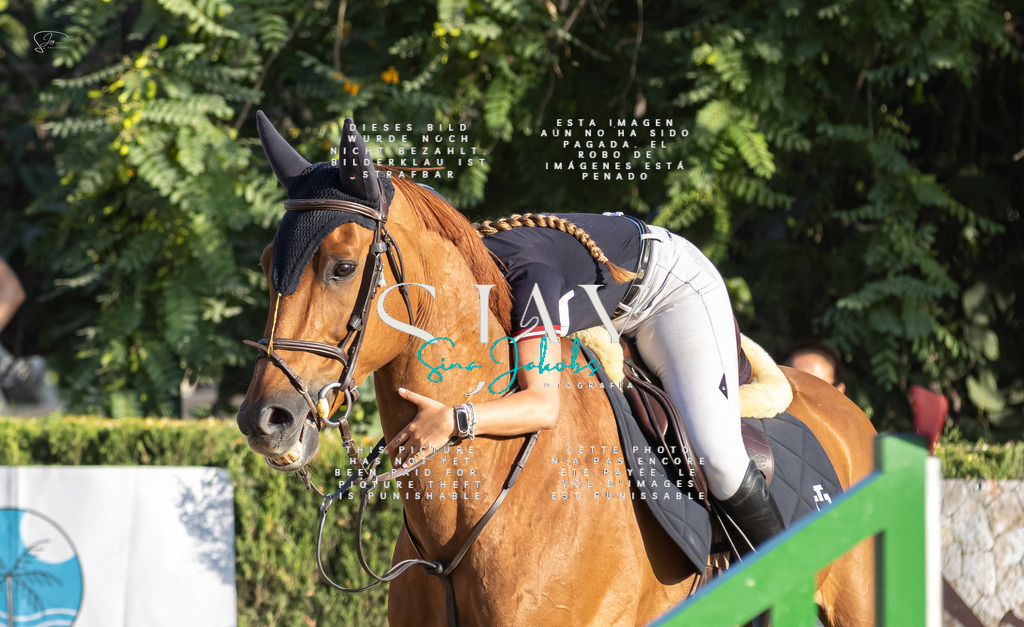 IMG_9740 | s-jay-photography - Realisiert mit Pictrs.com