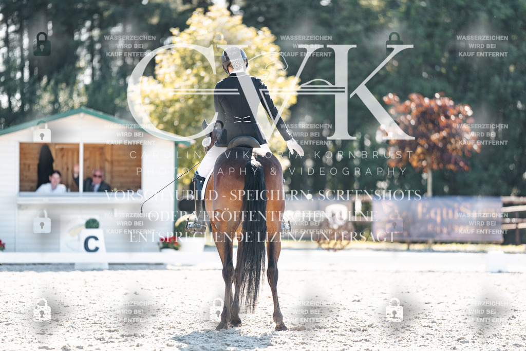 CK906194 | Turnierfotografie Pferdefotografie Trier Rheinland-Pfalz Pferdesport Reitsport Tierfotografie Sportfotografie Pferdevideo Pferdevideografie Equestrianvideography equestrianphotography  - Realisiert mit Pictrs.com