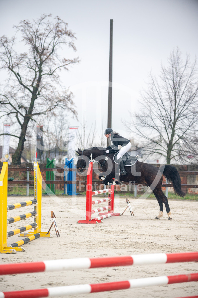 DSC_8430 | sattelsport - Realisiert mit Pictrs.com