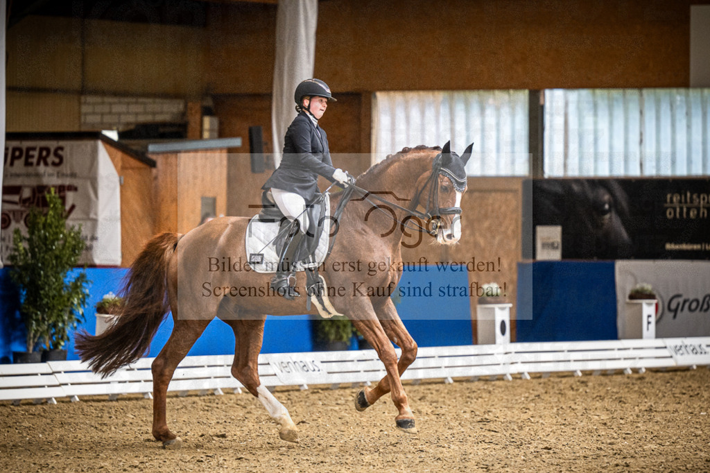 DOS_1263 | Entdecke hochwertige Reitturnierfotos von Foto Oger. Professionell, emotional und authentisch – jetzt Lieblingsmomente im Shop bestellen.Deutschlandweite Turnierfotografie. - Realisiert mit Pictrs.com