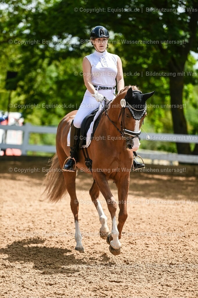 20230716_03_Dressurprfg. Kl.L - Tr._0517 | equistock