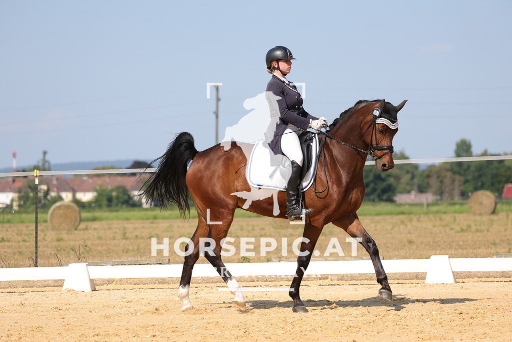 0P6A7893 | Willkommen bei Brunnmayr - Design & Fotografie – Ihrem Spezialisten für Reitturniere und Pferdeveranstaltungen in Oberösterreich, Salzburg und Bayern! Seit über 17 Jahren sind wir leidenschaftlich dabei.