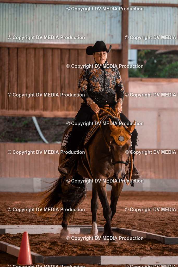 NE300044 | dv-media-shop - Realisiert mit Pictrs.com