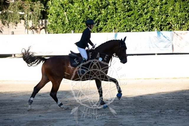 2B4A0881 | pixelfaenger - Realisiert mit Pictrs.com