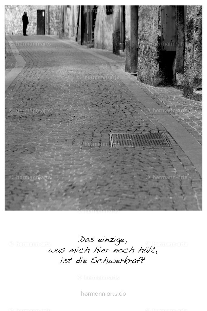 PK_Zitate_10x15_BW-100 | Photo Foto Kunst Art schwarzweiss Bilder Rheine Münster Berlin Blumen 