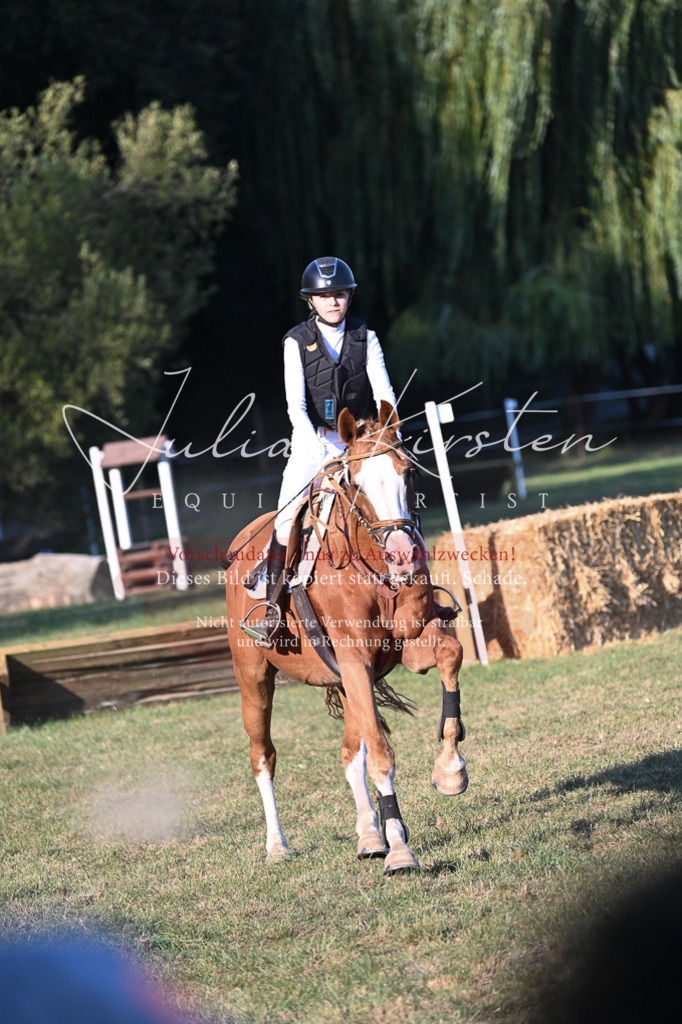 DSC_9134 | Pferde- und Turnierfotografie in Westsachsen. Pferdeportraits, Auftragszeichnungen und intuitive Kunst.