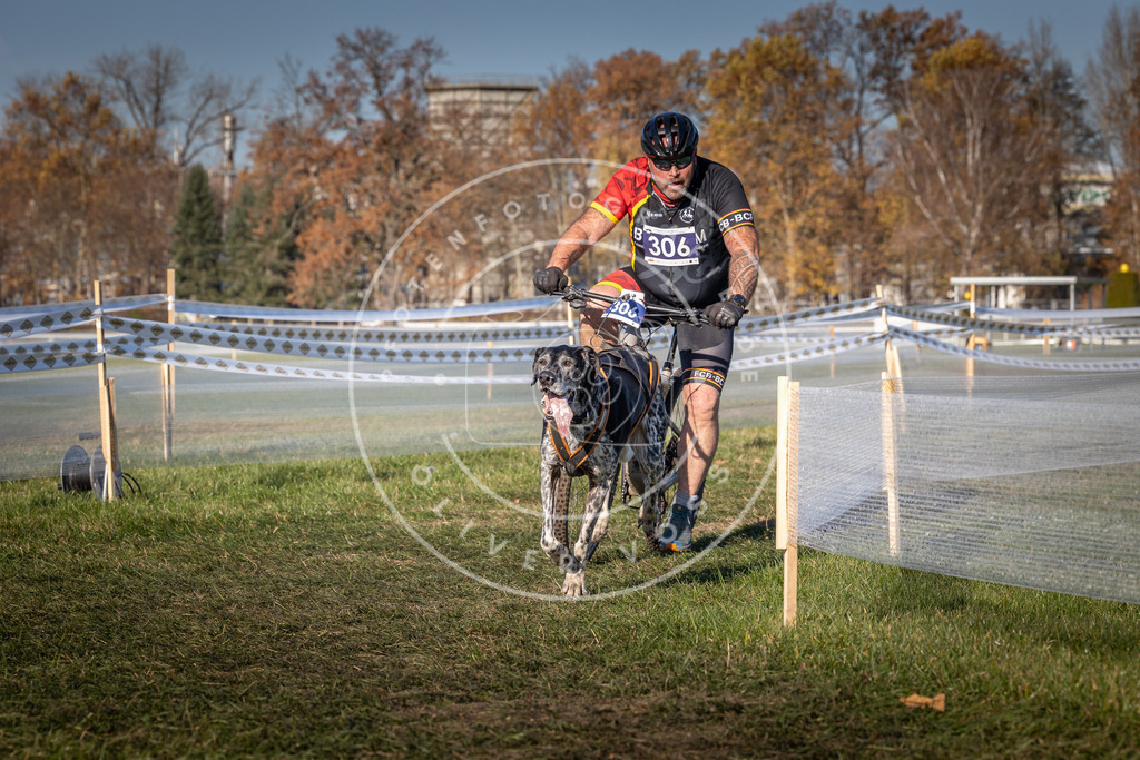 CaniXpix_0L8A5528 | Hundefotografie, Tierfotograf, Pfotenfotografie, Fotoshooting Hund, Hunde Portrait, Hundesport, Hundeportraits, Heideshooting, Hunde, Sportfotograf, Hundefotograf, Turnierhundsport, THS,  - Realisiert mit Pictrs.com