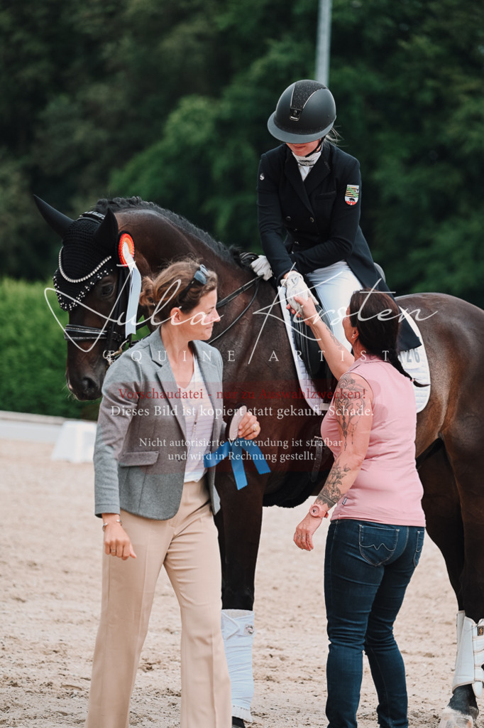 DSC_4413 | Pferde- und Turnierfotografie in Westsachsen. Pferdeportraits, Auftragszeichnungen und intuitive Kunst.