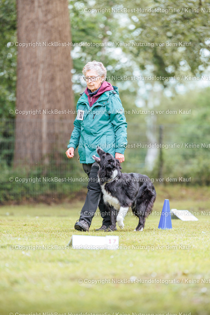 RO-Blumenthal-2026-Nickbest-Hundefotografie-5490 | Dein Hund! Dein Moment! Deine Erinnerungen! Hundefotografie in Bremen Blumenthal. Ich fange die besonderen Momente deines Vierbeiners ein – ob Indoor mit Blitzanlage oder in der freien Natur. Sicher dir dein Moment und dein Termin für eure Erinnerungen.