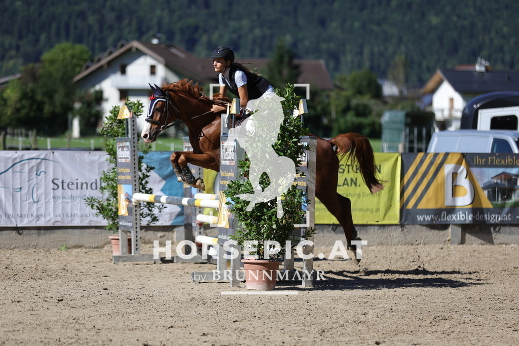 0P6A5202 | Willkommen bei Brunnmayr - Design & Fotografie – Ihrem Spezialisten für Reitturniere und Pferdeveranstaltungen in Oberösterreich, Salzburg und Bayern! Seit über 17 Jahren sind wir leidenschaftlich dabei.